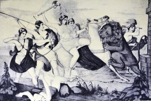 La Reine des Amazones attaquée par un Lion